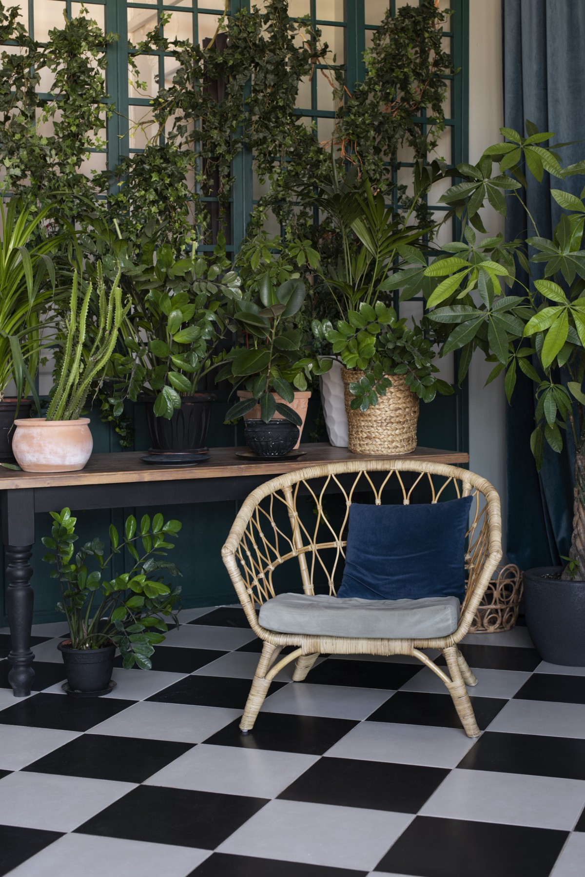Plantas interiores